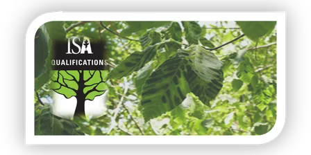 ISA Tree Risk Assessment Qualification (TRAQ)_Version 3.0 - Full Course March 2027