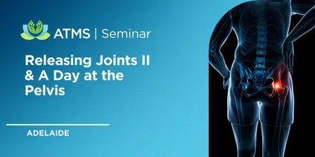 Releasing Joints II & A Day at the Pelvis - Adelaide 2026