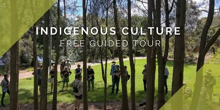 Indigenous Cultural Tour October 2026
