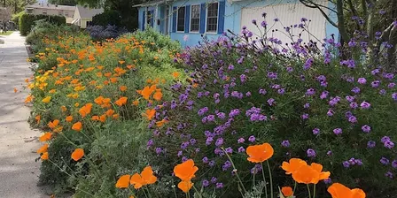 Intro to Native Plant Garden Design with Tim Becker — Oct 22, 2026