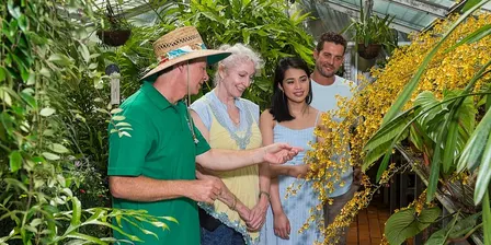 Behind the Scenes Glasshouse Tour