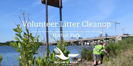 Volunteer Litter Cleanup- Harbor Park