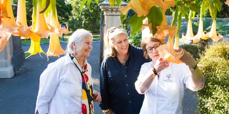 Guided Walks Royal Botanic Garden Sydney 2025 - 2026