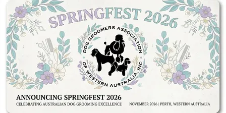 Springest 2026
