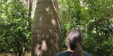Mindfulness in the Gardens (2026)