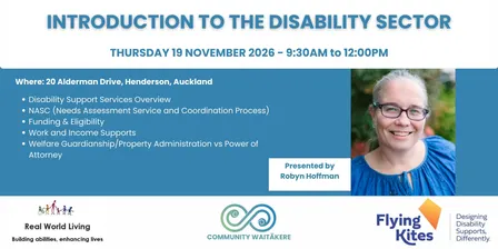 Introduction to the Disability Sector