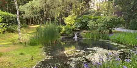 The School of Music & Imagination - Discover Your Natural Ability