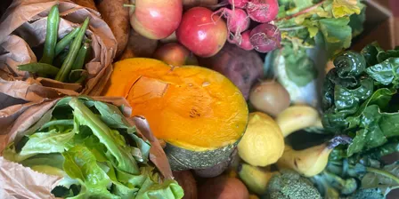 October Food Waste Pickling Workshop