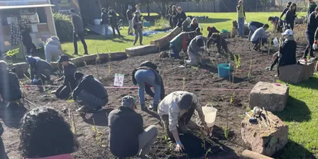 Epping Tiny Forest Planting