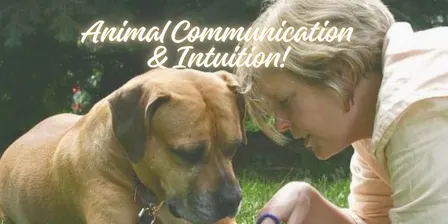 Animal Communication and Intuition