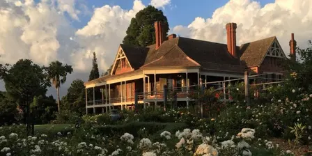 Botanic Beauty in Urrbrae House
