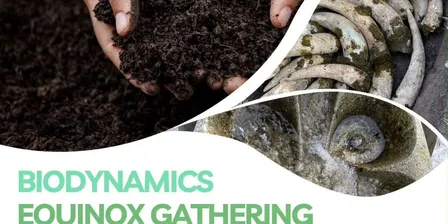 Biodynamics Equinox Gathering