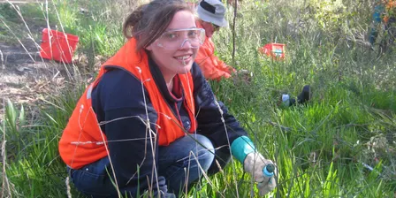 Come and Try Bushcare at Flagstaff Hill