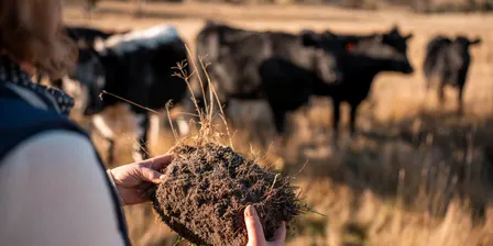 Unlocking the Nutrients in Your Soil with Joel Williams