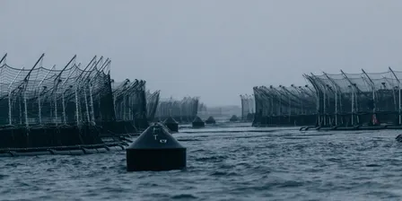'Gutted: the fight against Tasmania's fish farms' free film screening — Brisbane
