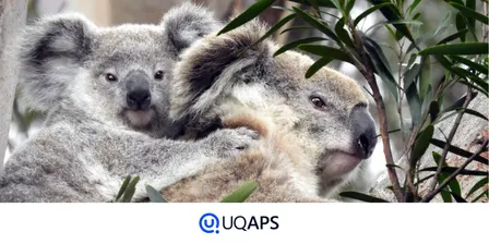 HDR Aussie Wildlife Showcase