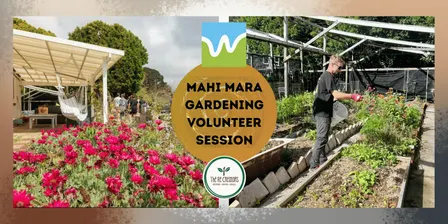 Mahi māra/ Gardening Volunteer Session, The ReCreators Green Space, Monday, 14 Sep, 12-3pm