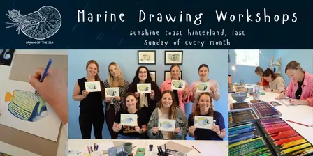 Marine Drawing Workshops