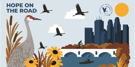 Birds & Brews–All About Cranes! with the International Crane Foundation at Bent Paddle Brewing Co.
