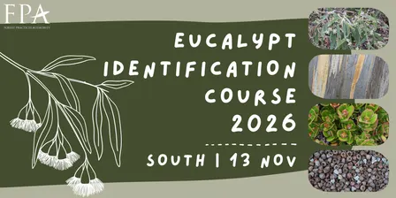 Eucalypt Identification Course 2026 - South - 13 November 2026