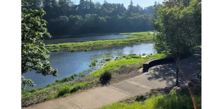 Walk: Burnt Bridge Creek trail - Stewart Glen Trailhead