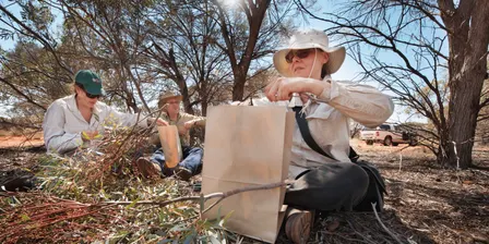 Behind the Seeds: A Snapshot of the Seed Conservation Centre