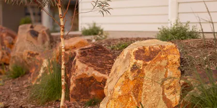 Thinking Green: Hot days, happy gardens - Gardening in Birak