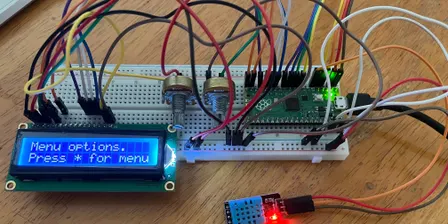 Dalia's Coding Course