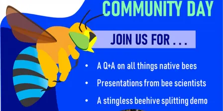 Australian Native Bees - Sydney Mini Expo