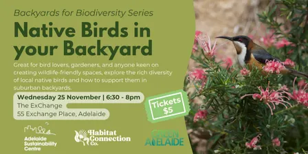 Native Birds in your Backyard