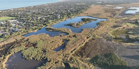 SOCIAL SATURDAY: EDITHVALE SEAFORD WETLANDS