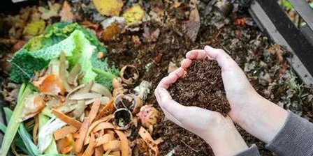 Get Composting: Simple Systems for Every Home