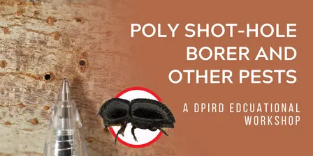Polyphagous Shot-Hole Borer and Other Pests