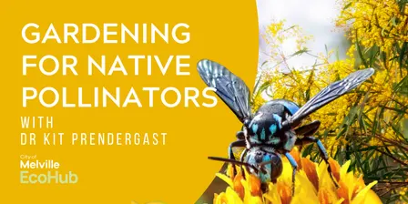 Gardening for Native Bees & Pollinators