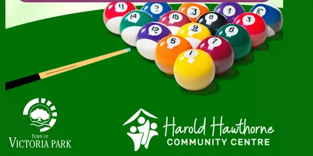8 Ball Championship