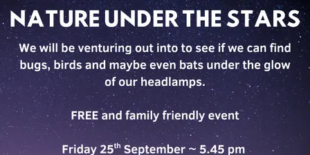 Nature under the stars - Paremoremo