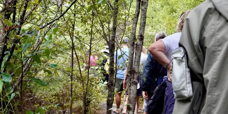 Centennial Park, Campbells Bay | Guided Ranger Walk