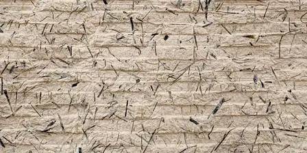 Bamboo paper-making and embossing workshop with artist Sarah Ong.
