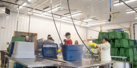 Wash & Pack Cleanup