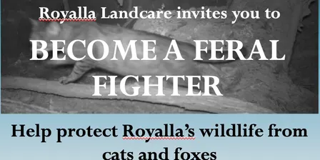 Become a Feral Fighter: Protect Royalla’s Wildlife from Cats and Foxes
