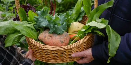 Spring Harvest: Eat Well, Feel Great