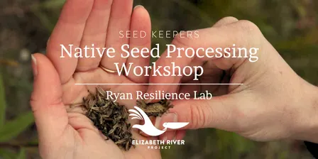 Seed Keepers: Native Seed Processing Workshop