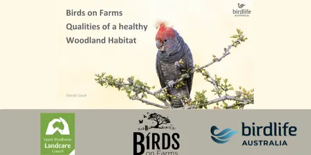 Birds on Farms: Creating Healthy Woodland Habitat