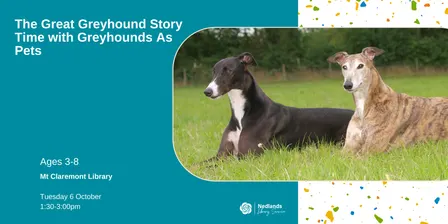 September/October School Holidays: The Great Greyhound Story Time with Greyhounds As Pets