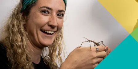 Eco Action - Minibeasts