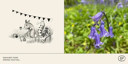 Ewhurst Park's Spring Fair