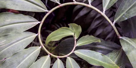 Spring Integration & Sound Journey