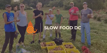 Sweet Potato Gleaning and Farm Tour at Owl's Nest Farm
