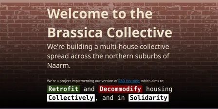 Brassica Collective Collaborators Launch