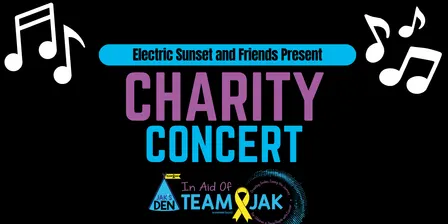 Electric Sunset and Friends: Charity Concert